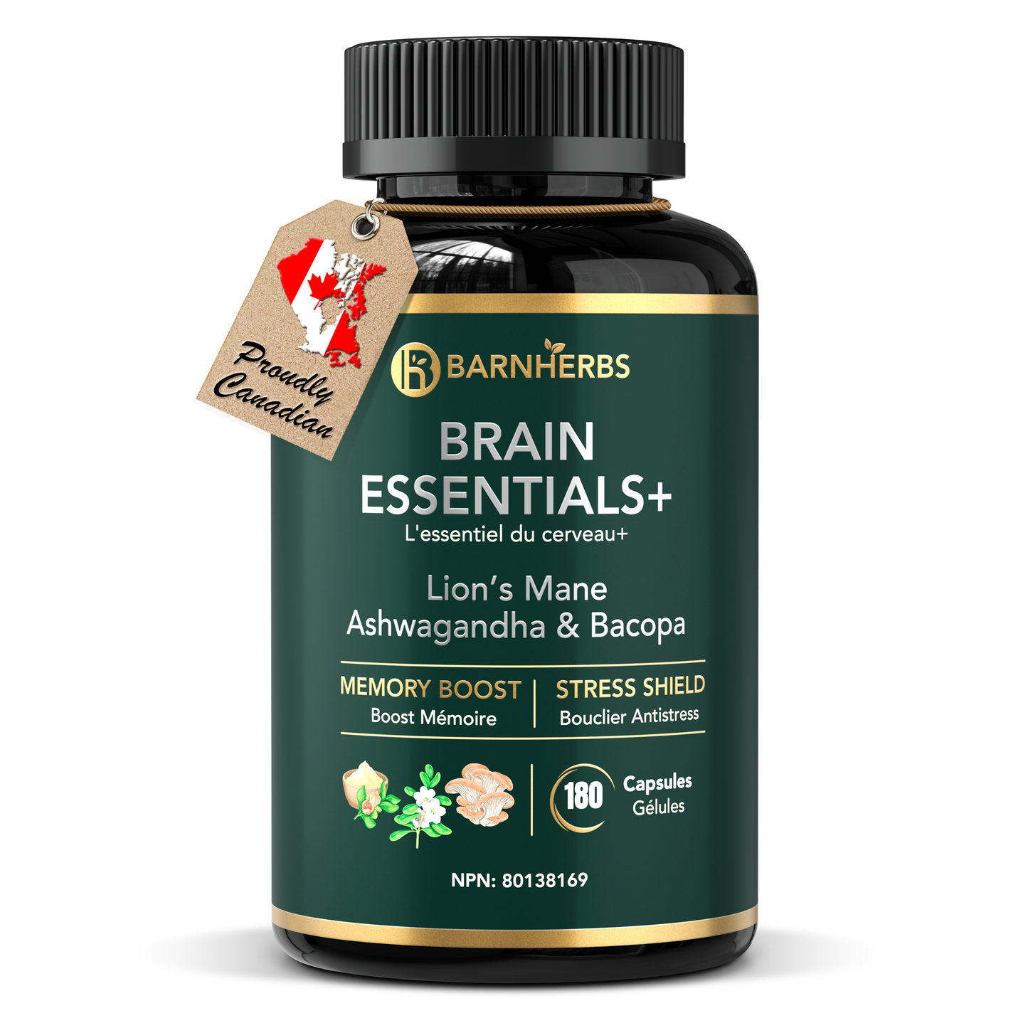 Brain Essentials+ | Nootropic for Memory, Focus, Stress Relief & Cognitive Health – Lion’s Mane 2500 mg, Ashwagandha 5000 mg, Bacopa 250 mg | 2 Vegan Capsules | Made in Canada