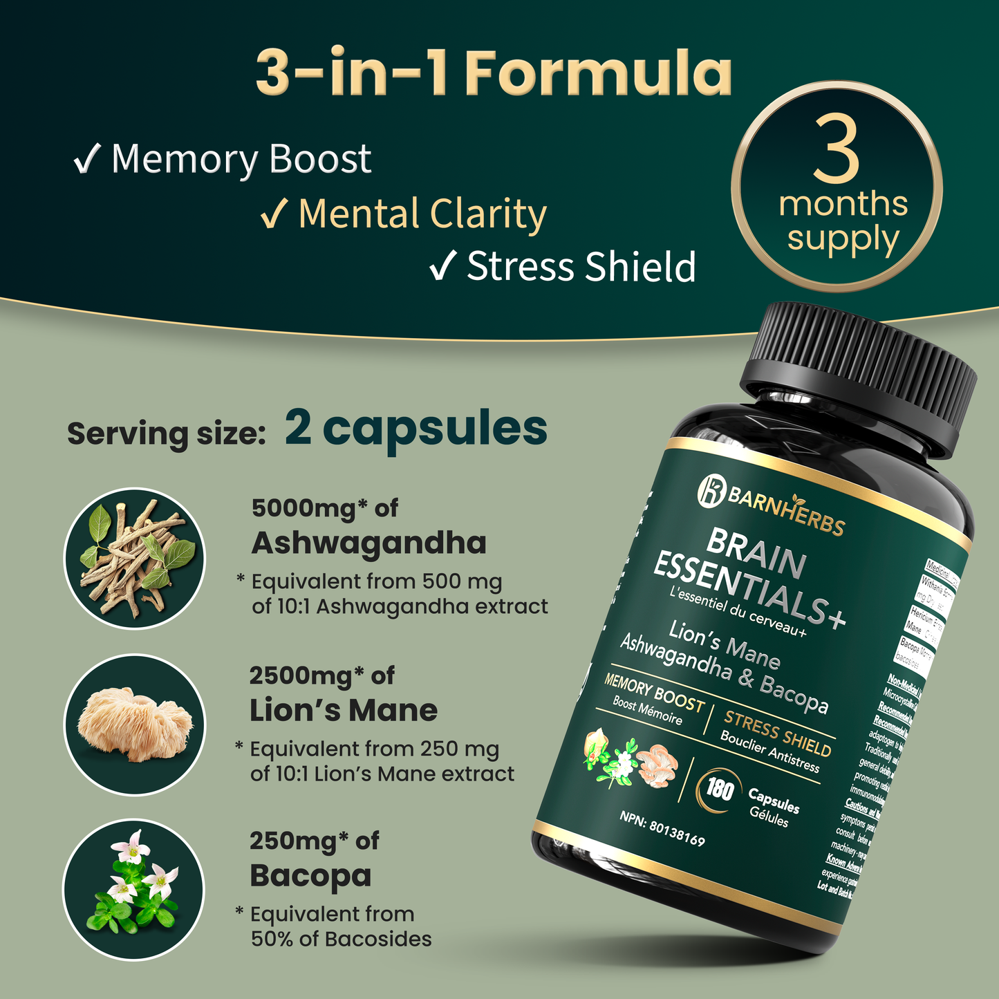 Brain Essentials+ | Nootropic for Memory, Focus, Stress Relief & Cognitive Health – Lion’s Mane 2500 mg, Ashwagandha 5000 mg, Bacopa 250 mg | 2 Vegan Capsules | Made in Canada