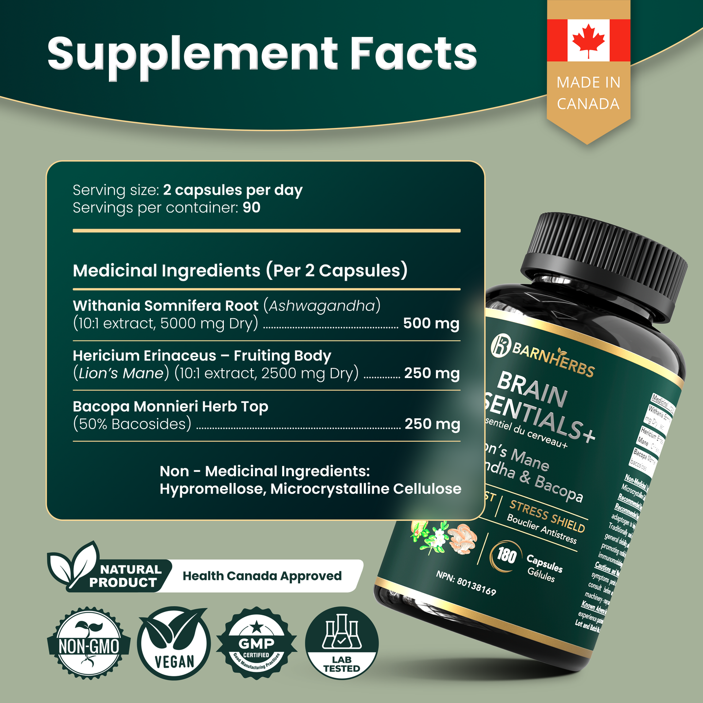 Brain Essentials+ | Nootropic for Memory, Focus, Stress Relief & Cognitive Health – Lion’s Mane 2500 mg, Ashwagandha 5000 mg, Bacopa 250 mg | 2 Vegan Capsules | Made in Canada