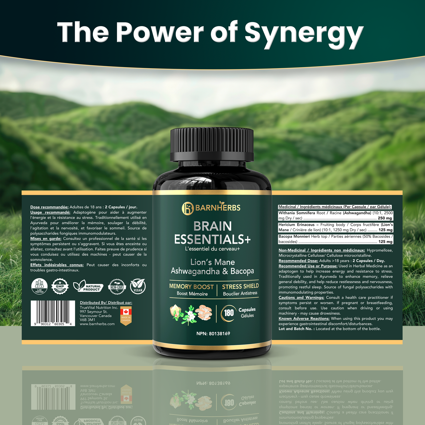 Brain Essentials+ | Nootropic for Memory, Focus, Stress Relief & Cognitive Health – Lion’s Mane 2500 mg, Ashwagandha 5000 mg, Bacopa 250 mg | 2 Vegan Capsules | Made in Canada