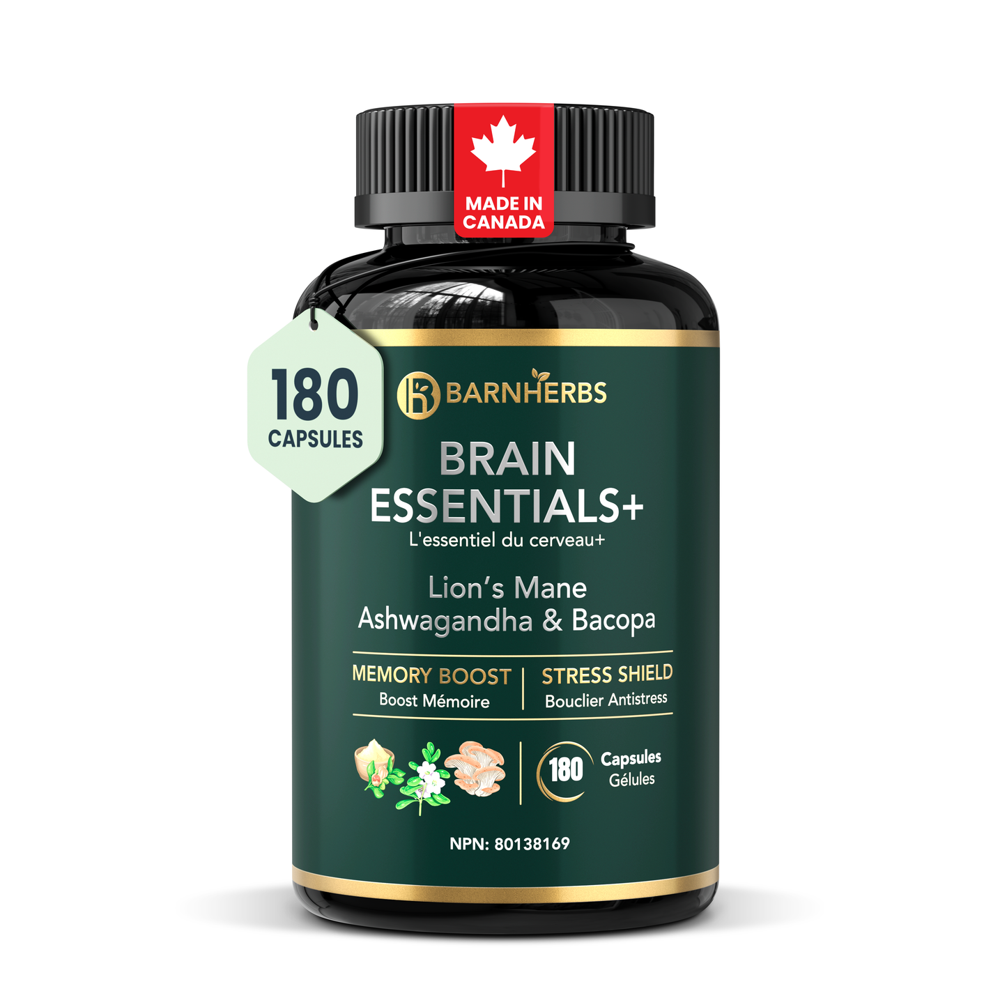 Brain Essentials+ | Nootropic Supplement for Memory, Focus, Stress Relief & Cognitive Health – Lion’s Mane, Ashwagandha & Bacopa | Made in Canada | 180 Capsules