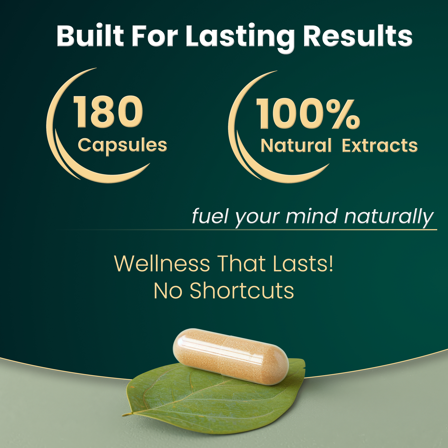 Brain Essentials+ | Nootropic Supplement for Memory, Focus, Stress Relief & Cognitive Health – Lion’s Mane, Ashwagandha & Bacopa | Made in Canada | 180 Capsules