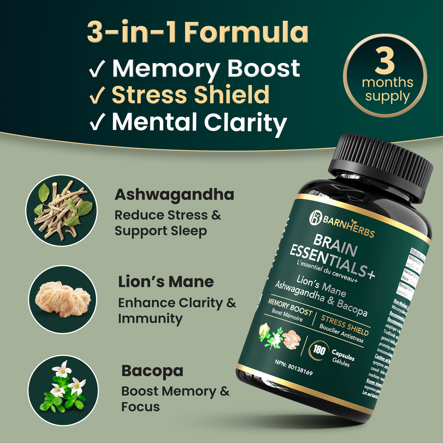 Brain Essentials+ | Nootropic Supplement for Memory, Focus, Stress Relief & Cognitive Health – Lion’s Mane, Ashwagandha & Bacopa | Made in Canada | 180 Capsules