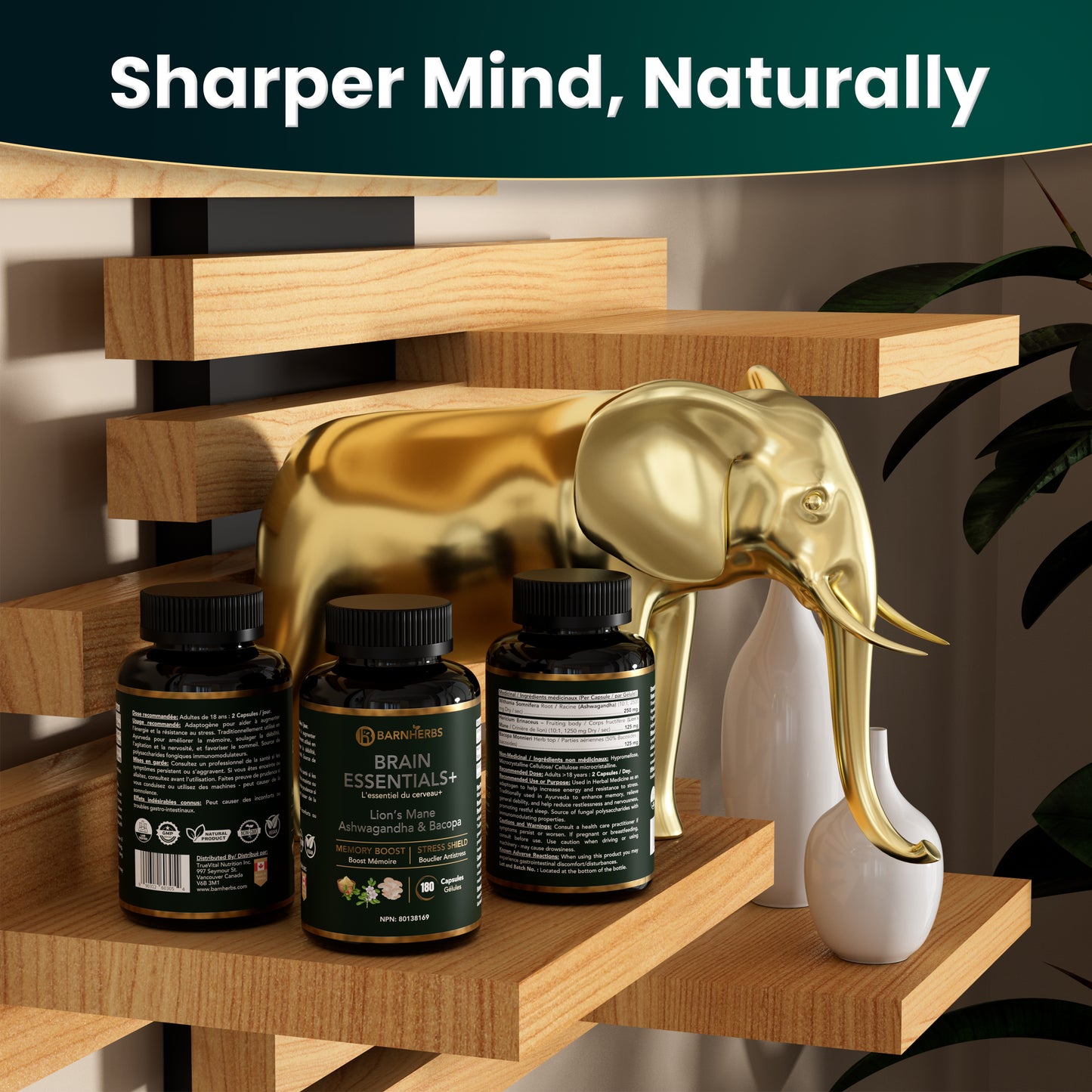 Brain Essentials+ | Nootropic Supplement for Memory, Focus, Stress Relief & Cognitive Health – Lion’s Mane, Ashwagandha & Bacopa | Made in Canada | 180 Capsules